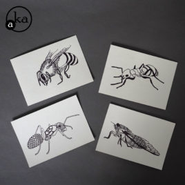 carte insecte